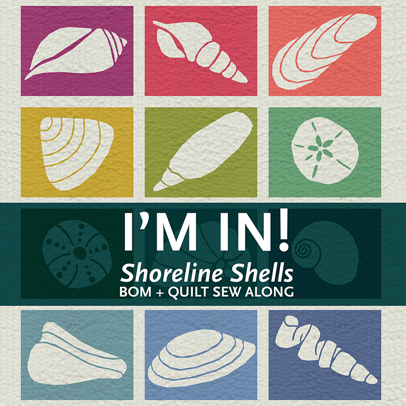 Shoreline Shells, beach seashell and sea glass, themed block of the month program. Make these modern quilt blocks / mini quilts. Foundation paper pieced quilt sew along. Available at wholecirclestudio.com